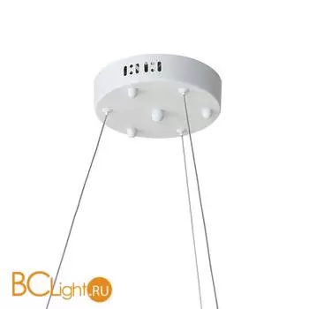 Люстра Favourite Taddy Bears 2449-6P - Фото 2